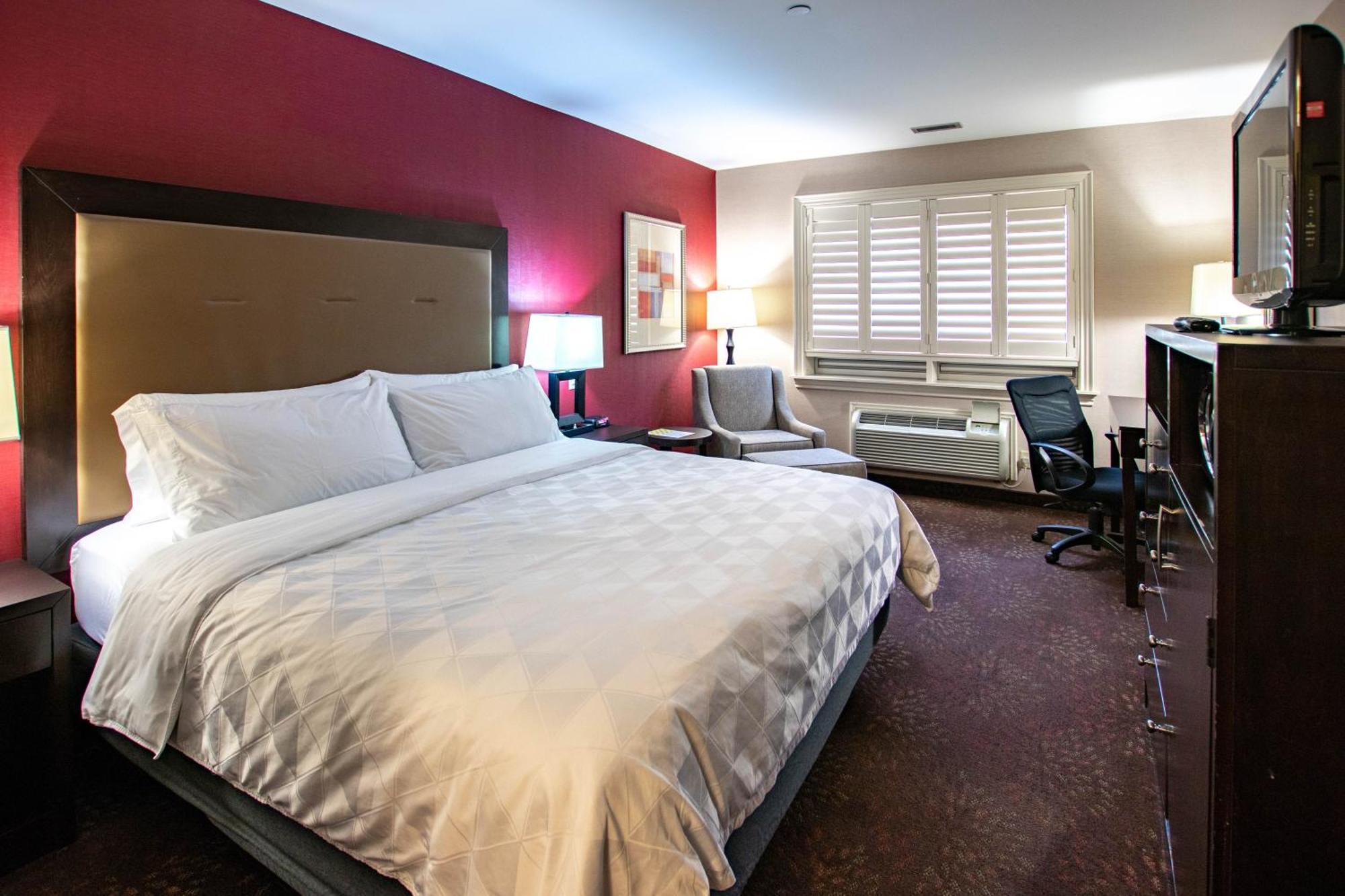 Holiday Inn Hotel & Suites St.Catharines-Niagara By Ihg Sainte-Catherine Esterno foto
